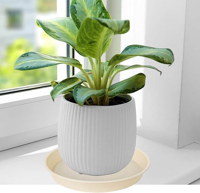 2 Pack of 10 inch Plant Saucer Gray, Heavy Duty Plastic Plant Saucer 10 inch Round, Durable Plant Tray for Pots, Plant Saucers for Indoors, Plant Trays for Planter 9"/10" (10", Beige)