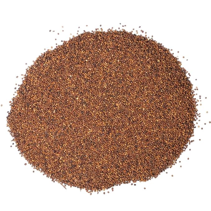 Hapsmiley Dodder Seed (Cuscuta Chinensis/Tu Si Zi/菟丝子) Dried Bulk Herbs – 3.5 oz (100g)