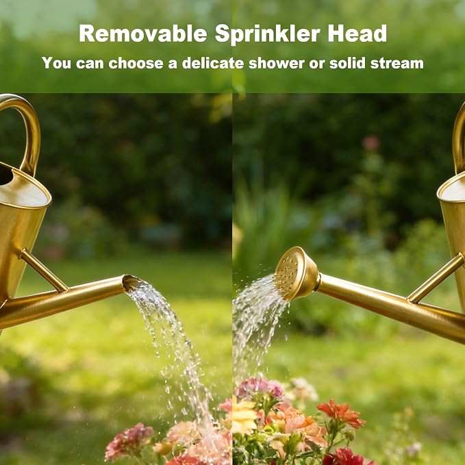 Watering Can for Outdoor&Indoor Plants，1.5 Gallon（5.7L） Metal Watering Can with with Removable Spout，Large Galvanized Steel Garden Flower Water Can Watering Pot with 2 Handles，Gold