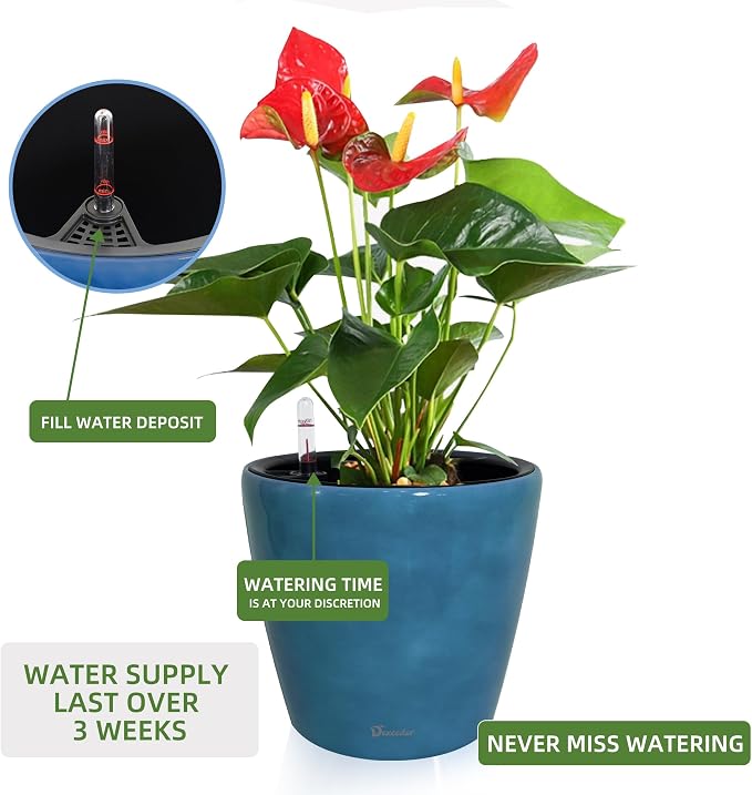 Dexceder 11x10 Self Watering Planter (Peacock Blue Gradient) | Inner Pot Design, Thickened Table Flower Plant Pot with Water Level Indicator Indoor Outdoor
