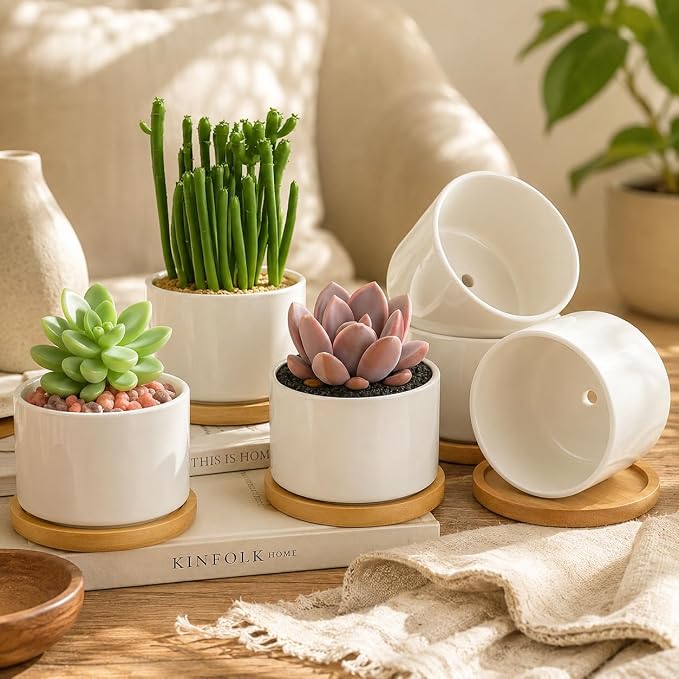 ZOUTOG Ceramic Succulent Pots 8 Pack,3.6 Inch Plant Pots,Succulent Planters with Drainage Hole & Bamboo Tray for Indoor Plants,White Small Flower Planters for Home,Office,Desk