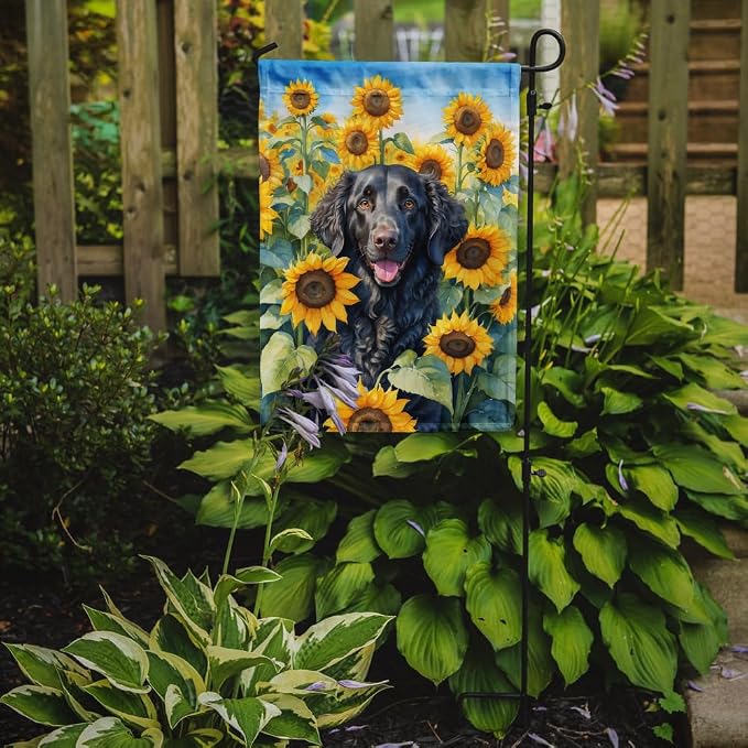 Caroline's Treasures DAC6064GF Curly-Coated Retriever in Sunflowers Garden Flag Mailbox Flag Decorative Yard Flag Banner Outside Patio Artwork Yard Flower Beds, Garden Size, Multicolor