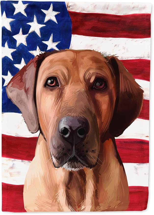 Caroline's Treasures CK6463GF Broholmer Dog American Flag Garden Flag Mailbox Flag Decorative Yard Flag Banner Outside Patio Artwork Yard Flower Beds, Garden Size, Multicolor