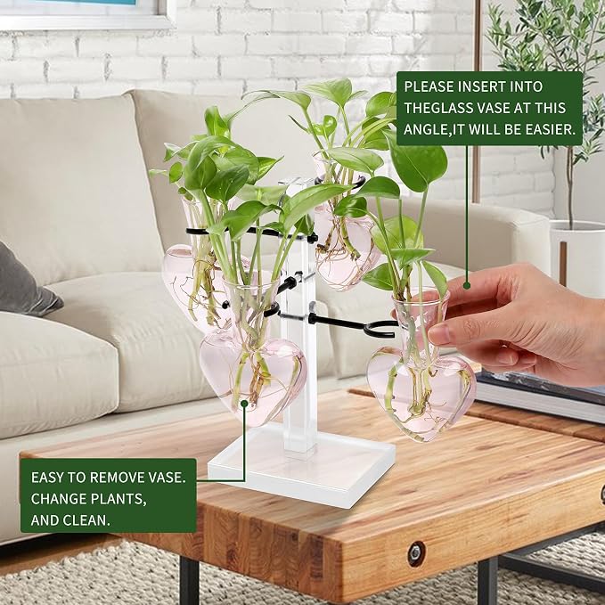 Plants Propagation Stations Plant Terrarium Kit Gift for Women | Birthday Glass Planters For Indoor Plants Home Office Decor Acrylic Plant Accessories - 4 Love Hear Vase