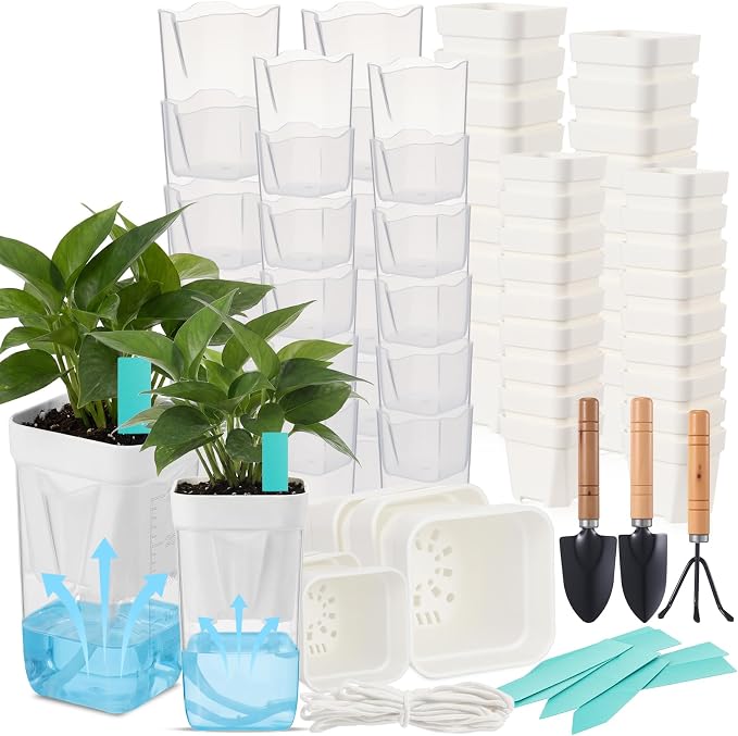 30 Pack 2" 2.5" Small Self Watering Pots for Indoor Plants Clear Mini Self Watering Plant Pot with Water Level Drainage Holes 30 Plastic Label 3 Planting Tools Rope for Propagation Succulent