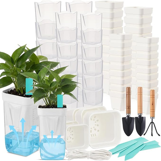 30 Pack 2" 2.5" Small Self Watering Pots for Indoor Plants Clear Mini Self Watering Plant Pot with Water Level Drainage Holes 30 Plastic Label 3 Planting Tools Rope for Propagation Succulent