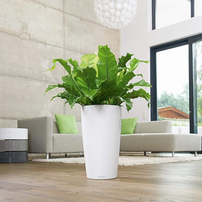 Lechuza Rondo 32 Black High Gloss, Self-Watering Tall Planter, D12.6 H22 in