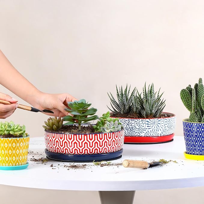 Selamica Ceramic Succulent Pots, Shallow Succulent Planters with Drainage Hole & Saucer, Indoor Plant Pots for Cactus, Home Decor，Assorted Colors,8 inch，Set of 2