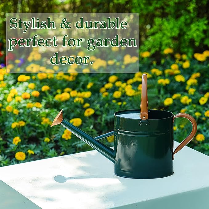 Metal Watering Can for Plants,Watering Cans for Outdoor&Indoor Gardening, Galvanized Steel Water Can with Removable Spout,Watering Pot with Ergonomic Movable Handle(Green)