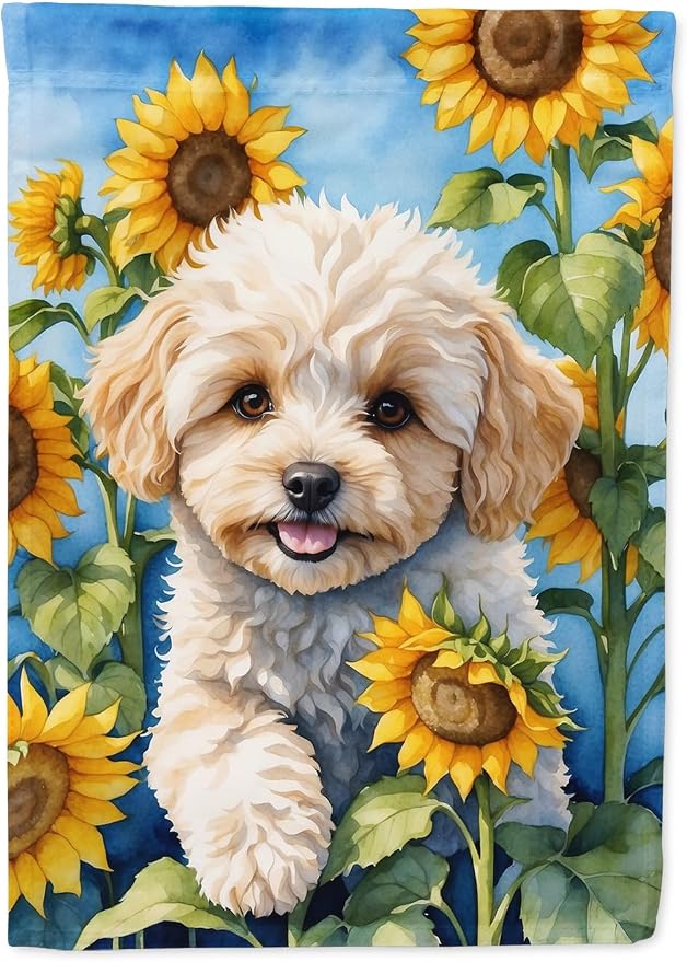 Caroline's Treasures DAC6118GF Maltipoo in Sunflowers Garden Flag Mailbox Flag Decorative Yard Flag Banner Outside Patio Artwork Yard Flower Beds, Garden Size, Multicolor