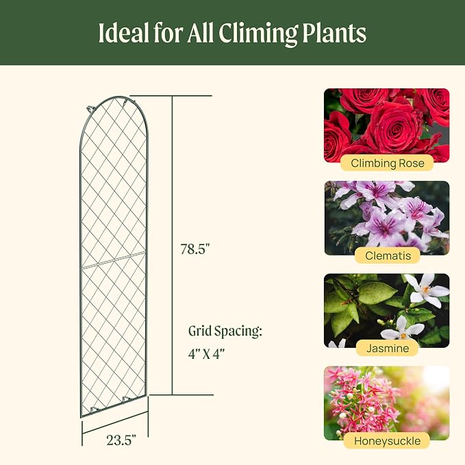 Vego garden Metal 23" x 78" Garden Mounted Wall Trellis 2 Pack for Climbing Plants Flowers Vegetables Planting Arched Outdoor Decoration for Courtyards Lawns Gardens