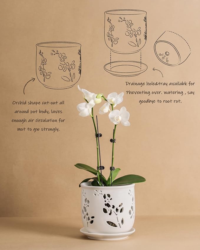 Fayoula Orchid Pot, 6.5 inch Large Orchid Pots with Holes for Healthy Growth and Easy Repotting, Premium Ceramic Orchid Planter for Indoor and Outdoor Use, (Note : Plant Not Included)