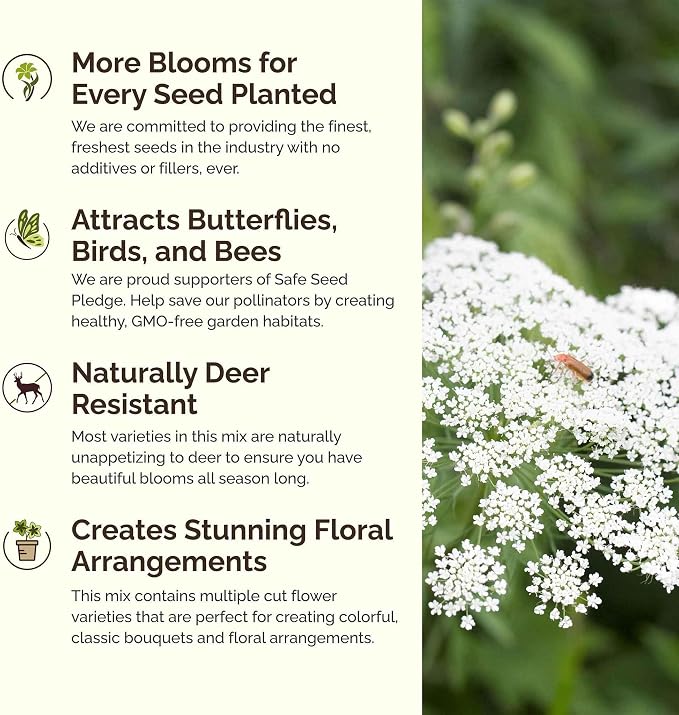 Eden Brothers Moon Garden Flower Mixed Seeds for Planting, 1/4 lb, 120,000+ Seeds with Cosmos Purity, Bishop's Flower | Attracts Pollinators, Plant in Spring or Fall, Zones 3, 4, 5, 6, 7, 8, 9, 10