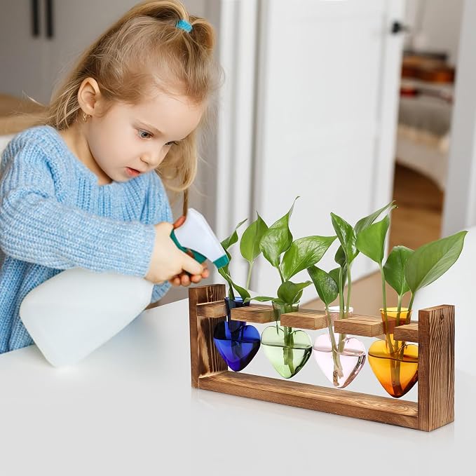 Plant Propagation Stations Heart Plant Terrarium Kit | Gift for Women Plant Lover Glass Vases
