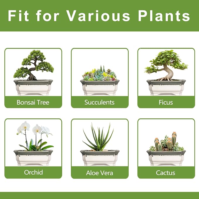 Bonsai Tree Pots 13.7 Inch - Ceramic Succulent Pots for Indoor Outdoor Plants, Bonsai Planter with Drainage Hole, Shallow Plant Pot, Home Decor, Gifts for Men Women, Rectangular Beige-Grey