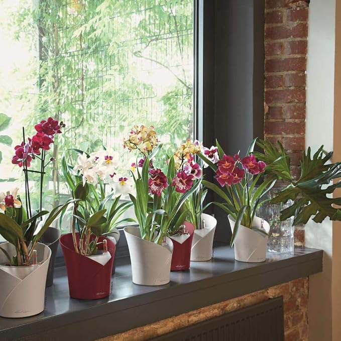 Lechuza 13961 ORCHIDEA Self-Watering Planter for Indoor and Outdoor Use, 7.2" x 7" x 7.7", Slate Matte