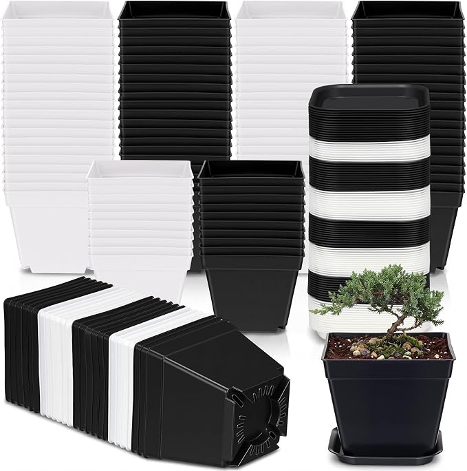 Amyhill 100 Pcs 4 Inch Flower Pots Square Plants Nursery Pot Plastic Plant Seedling Pots Small Nursery Transplanting Planter Container with Saucer for Indoor Succulent Balcony Garden (Black and White)