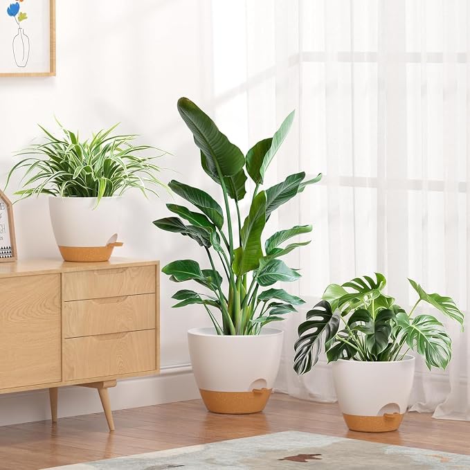 12/10/9/8/6 Inch Self Watering Pots for Indoor Outdoor Plants, Set of 5 Large Plastic Planters with Visual Water Window, Drainage Holes & Watering Lip, Modern Decorative Flower Pots (White)