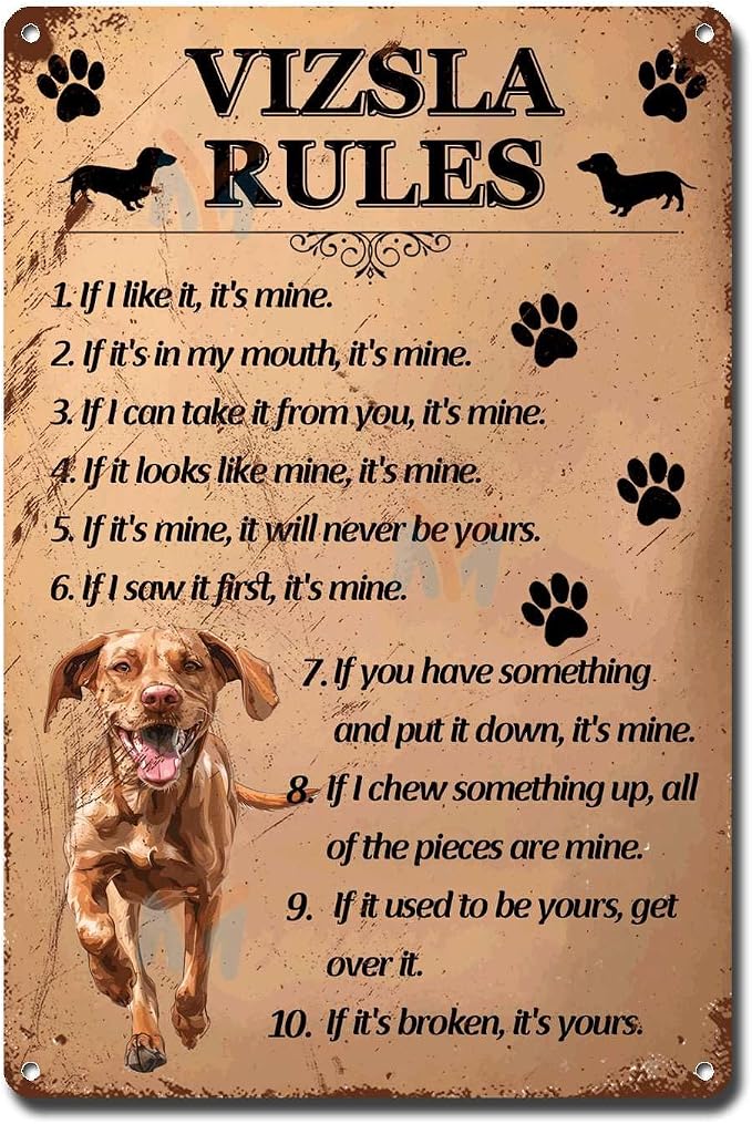 Metal Sign Tin Sign Vintage Wall Art Vizsla Rules Inspirational Wall Art for Room 12×16 Inches