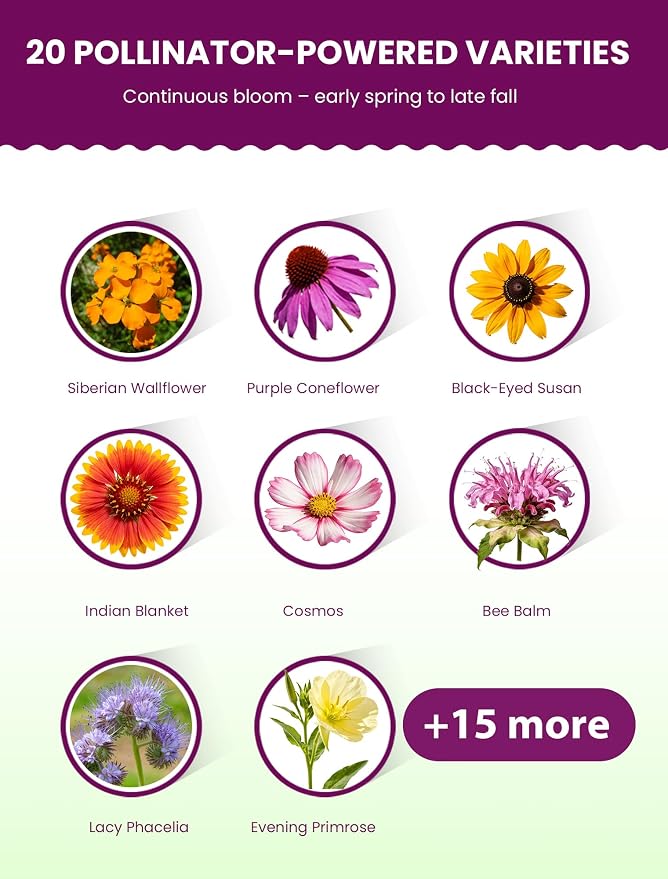 Wildflower Seeds Mix – Pollinator All-Stars, 20 Heirloom Varieties, 10,000+ Seeds (4oz) Covers 100-120 sq.ft. – High Germination for Bees, Butterflies, Hummingbirds & Moths Outdoor Garden