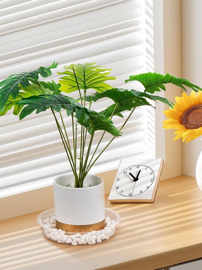 GROWNEER 15 Packs 12 Inches Clear Plant Saucers Flower Pot Trays, with 15 Pcs Plant Labels, Plastic Plant Saucer Drip Trays for Indoor Outdoor Plants Garden