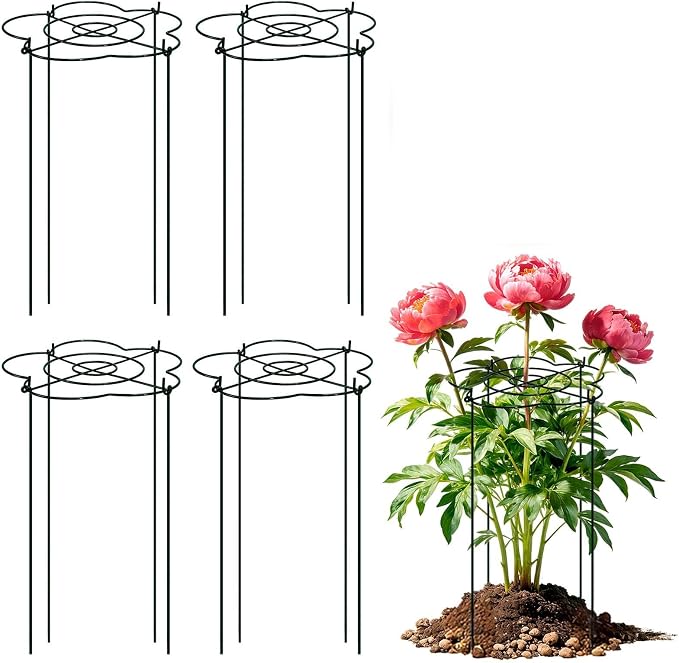 Peony Cages and Supports 4 Pack, 13" Dx24 H Grow Through Plant Supports, Heavy Duty Metal Plant Support Cage for Outdoor Flowers, Tomatoes, Hydrangeas, Cucumbers & Strawberries