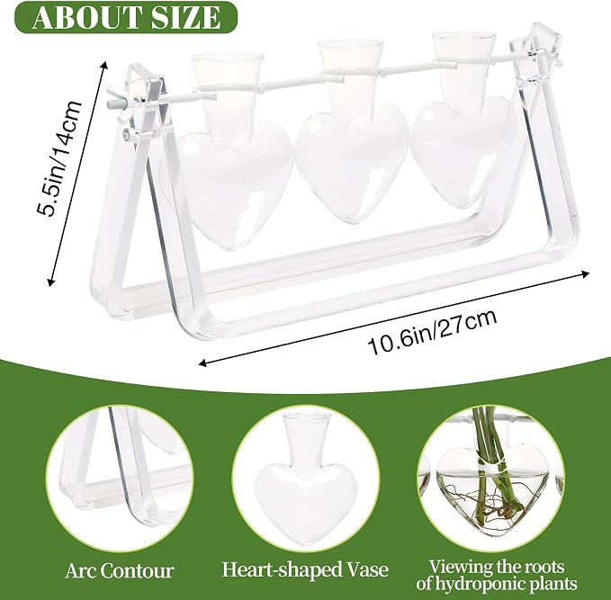 Clear Plant Terrarium Propagation Stations with Acrylic Stand | Birthday Gifts for Women Office Home Decor
