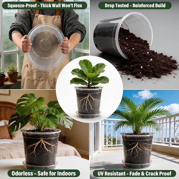 BTPLASTIK 5 Gallon Clear Nursery Pots with Saucers 5P, 12 Inch Round Plastic Plant Pots with Drainage Holes