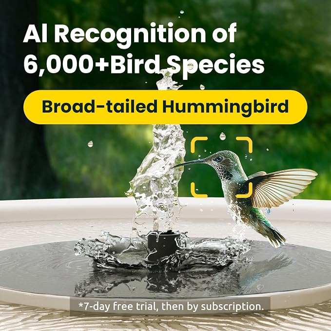 Birdfy Smart Bird Bath with Camera Solar Powered & Fountain, Dual-Lens Camera for Wildbird Watching, Auto Capture Bird Videos & Motion Detection - AI by Subscription (Yellowstone)