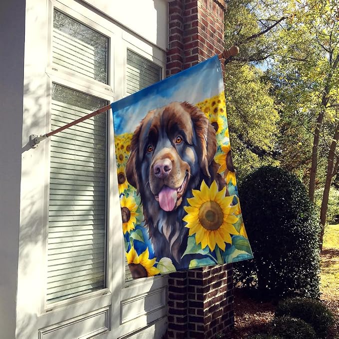 Caroline's Treasures DAC6124CHF Newfoundland in Sunflowers House Flag Large Porch Sleeve Pole Decorative Outside Yard Banner Artwork Wall Hanging, Polyester, House Size, Multicolor