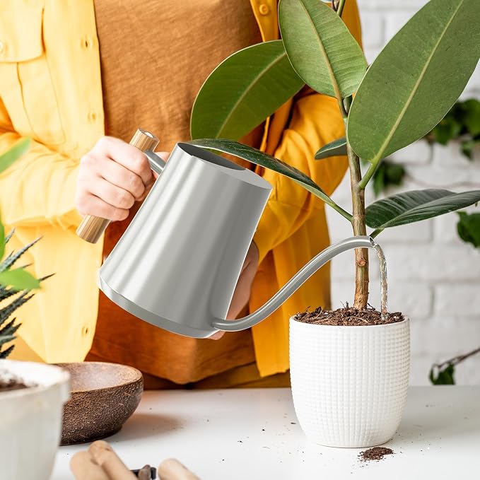 Green Moon 1L/35oz Metal Watering Can Indoor with Long Spout, Gray | Metal Stainless Steel Watering Can with Wood Handle for Indoor Plants, House Bonsai, Succulents, and Outdoor Garden Flowers