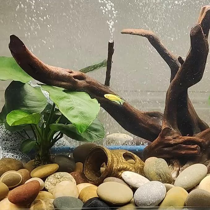 FANTIAN 10 Pounds Large River Rocks, 3-4 Inch Natural Pebbles for Landscaping, Garden, Aquarium, Backyard and Indoor Water Fountains