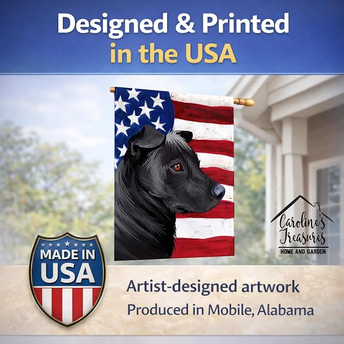 Caroline's Treasures CK6644CHF Phu Quoc Ridgeback Dog American Flag House Flag Large Porch Sleeve Pole Decorative Outside Yard Banner Artwork Wall Hanging, Polyester, House Size, Multicolor