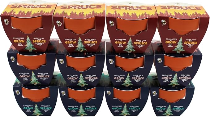 BUZZY Seeds Spruce Tree Grow Kit 12-Pack - Mini Terracotta Pot Grow Set - Complete Indoor/Outdoor Gardening Kit with Seeds, Coconut Husk Growing Medium & Genuine Pots - 100% Grow Guarantee