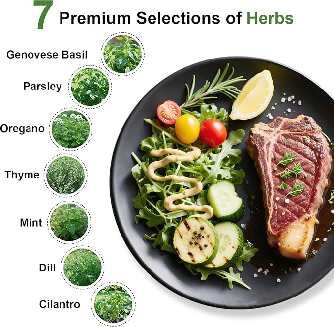 Gourmet Herb Seed Pod Kit for AeroGarden, idoo, Ahopegarden, MUFGA with Basil, Parsley, Thyme, Mint, Cilantro, Dill, Oregano - Hydroponics Supplies for Most Brand (12-pod)