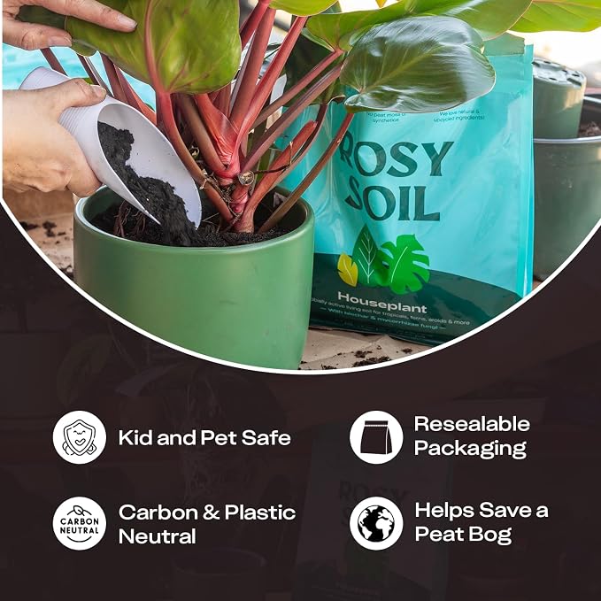 Rosy Soil Houseplant Potting Soil, 8 Quarts, Pack of 2 | Organic Indoor Potting Mix with Biochar and Worm Castings, For Monstera, Pothos, Tropical Indoor Plants, Peat Free