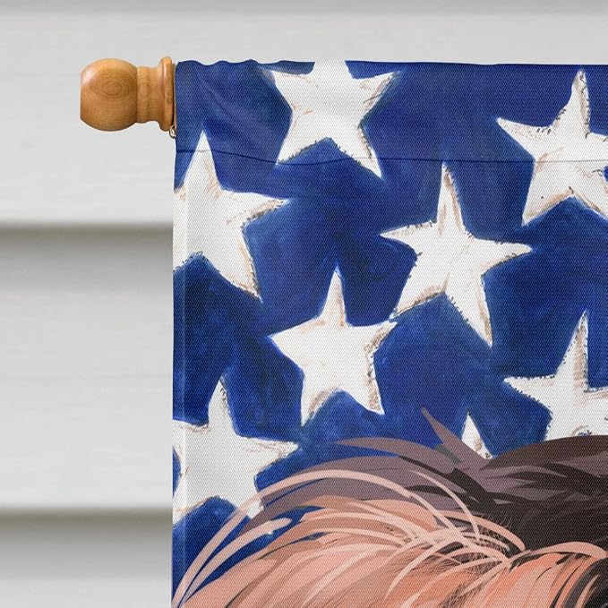 Caroline's Treasures CK6455CHF Boykin Spaniel Dog American Flag House Flag Large Porch Sleeve Pole Decorative Outside Yard Banner Artwork Wall Hanging, Polyester, House Size, Multicolor