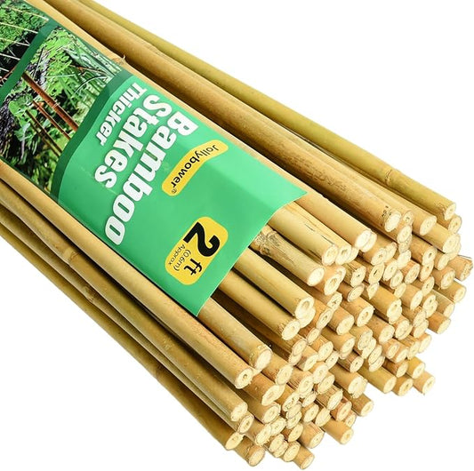 Jollybower 3/10" D 2 Feet Bamboo Stakes 50 Pack, Thicker Heavy-Duty Plant Stakes, Natural Garden Stakes for Bean, Tomato, Bean, Flowers,Trees Potted and Climbing Plant Support