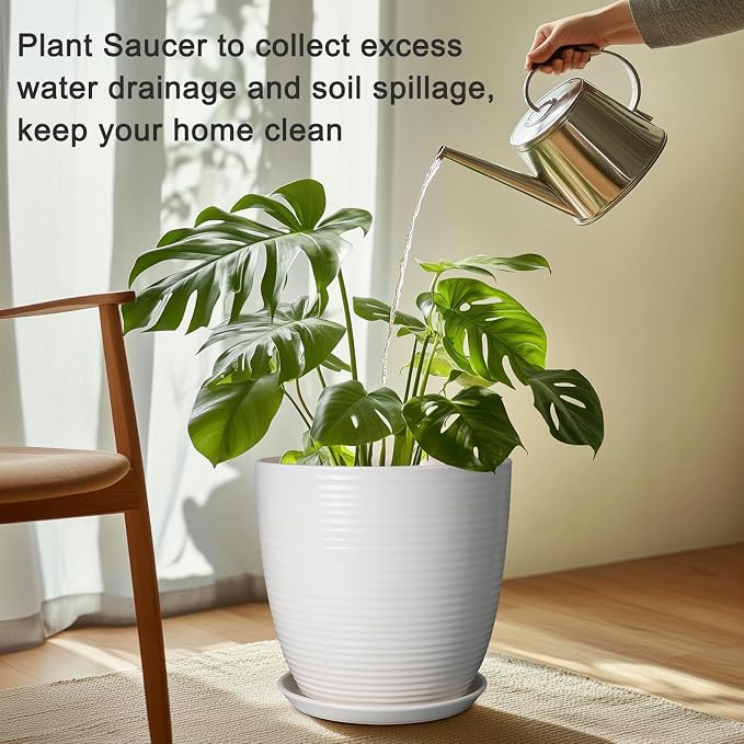 Plant Water Catcher Trays - Ceramic Plant Saucers 12 Inch Plant Trays for Indoors No Holes Plant Drip Trays Drainage Decorative Flower Pot Saucers Large Plant Dishes 2 Pack White