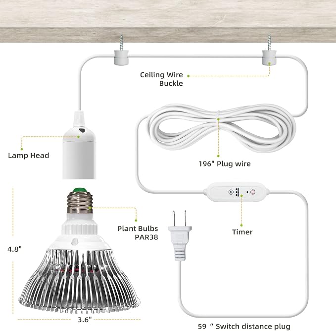 LED Grow Light Bulbs, Hanging Grow Lights for Indoor Plants, 25W 5000K, Height Adjustable Plant Light with Timer, Full Spectrum Grow Light Replace Sunlight for Large Tall Plant, Greenhouse