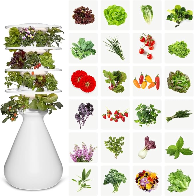 Lettuce Grow Farmstand Medium Starter Kit with Glow Rings + 24 Seedling Credits | 4 ft 10 in Vertical Hydroponic Garden Tower | Self-Watering Indoor Growing System for Herbs & Greens