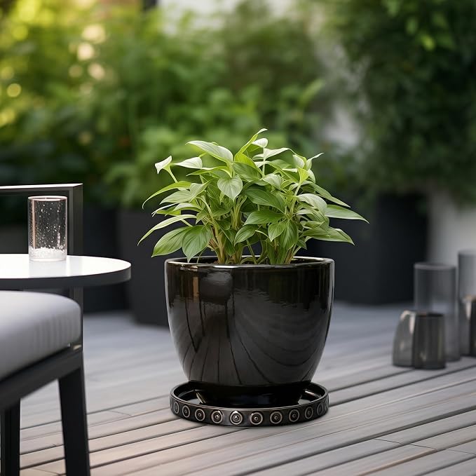 Eightpot 11.4 Inch Plant Pot Saucers, Plant Drip Trays for Indoor Outdoors, Round Ceramic Plant Saucer, Modern Plants Plates to Catch Water, Decorative Plants Dishes to Catch Water, Black