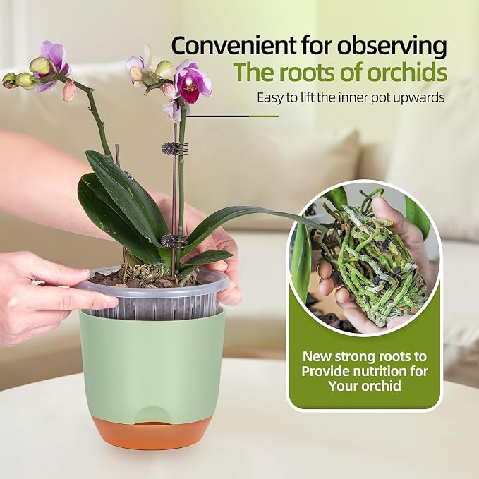QCQHDU 7.2Inch Orchid Pots with Holes for Repotting, Double-Layer Plastic Self Watering Flower Pots for Indoor Plants with Drainage Holes, Clear Orchid Pot Match Decorative Orchid Container, 1 Pack