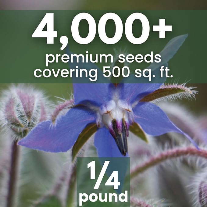 Borage – 4,000 Seeds for Planting – 2026 Season – 4 Ounce Pouch