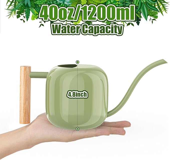 Green Moon 1.2L/41oz Metal Metal Watering Can with Long Spout, Sage Green | Metal Stainless Steel Watering Can for Indoor Plants, House Bonsai, Succulents, and Garden Flowers, Decorative Watering Cans