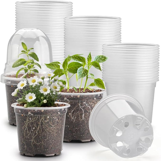 RooTrimmer 60 Pack Clear Nursery Pots with Humidity Domes, 4 Inch Plastic Plant Pots with Drainage Holes for Seedlings, Transparent Seed Starting Pot for Cuttings Propagation Indoor Gardening