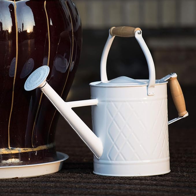 1 Gallon Watering Can with Wooden Handles, White, Galvanized, Metal Watering Can with Removable Spout, Perfect Water Can for Indoor and Outdoor Plants