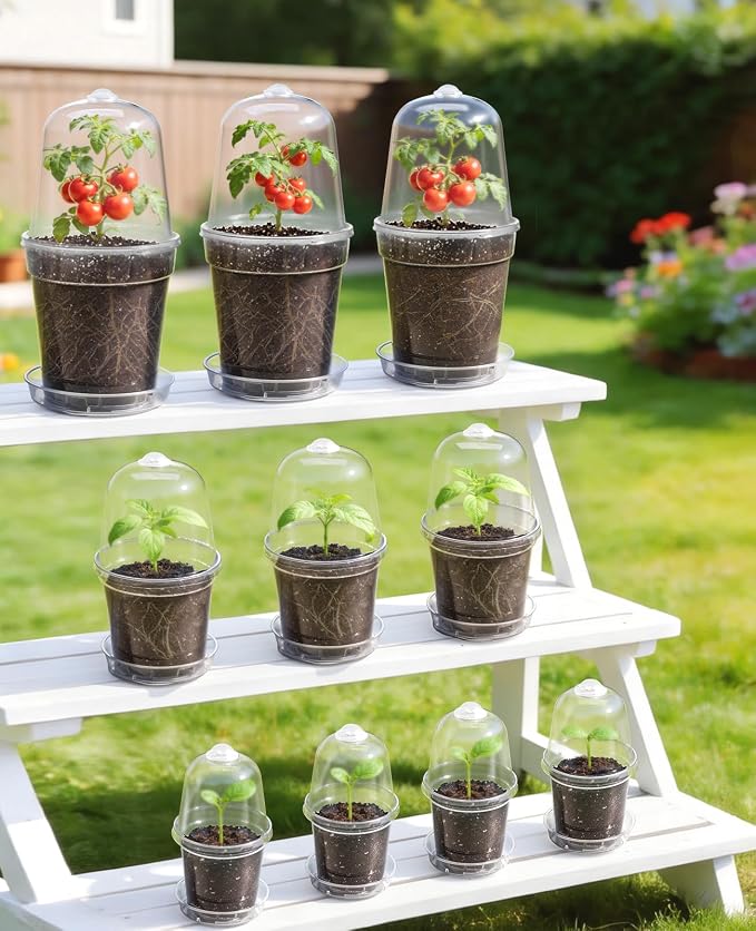 homenote 5 Inch Clear Nursery Pots 20 Pack with Humidity Domes&Plant Saucers–Rigid Plastic Nursery Pots with Drainage,Transparent Flower Pots for Seedlings,360° Rotary Vent,Indoor Outdoor Garden