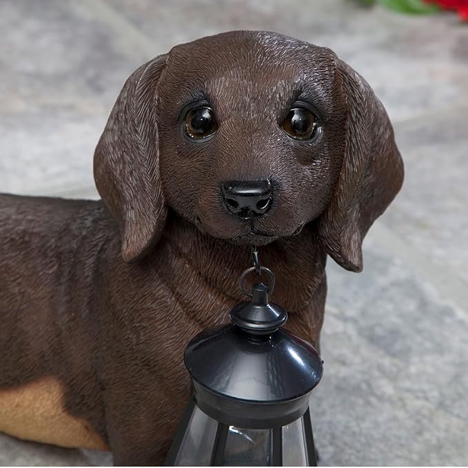 Bits and Pieces - Dog Solar Lantern Statue - Solar Powered Garden Lantern - Resin Dog Sculpture with LED Light - Outdoor Lighting and Décor (Dachshund)