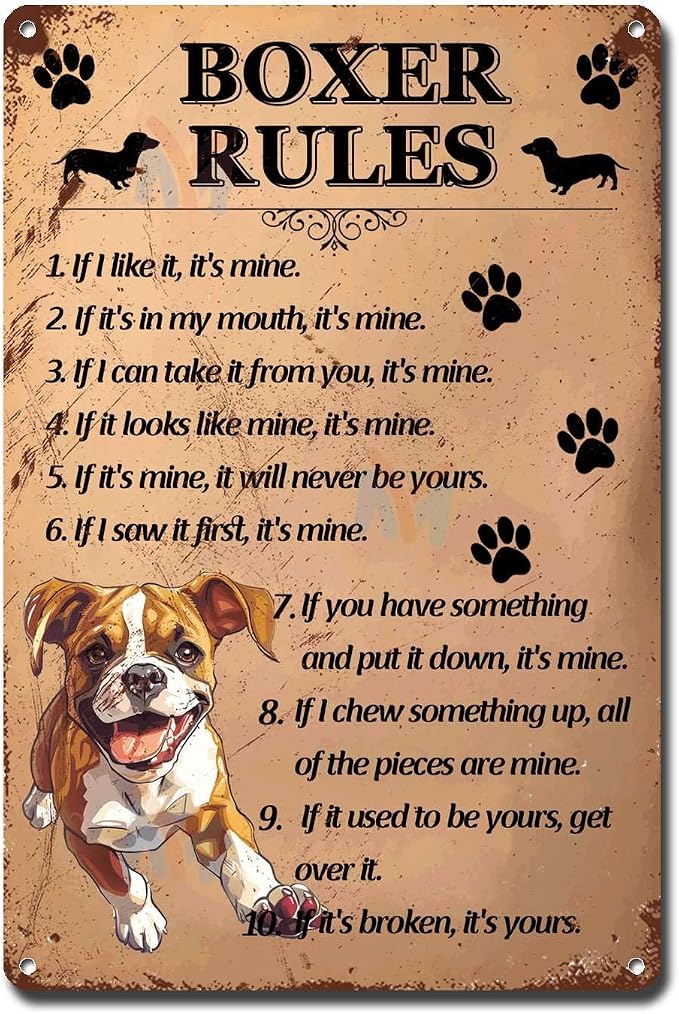 Metal Sign Tin Sign Vintage Wall Art Boxer Rules Tin Sign for Room 6×8 Inches